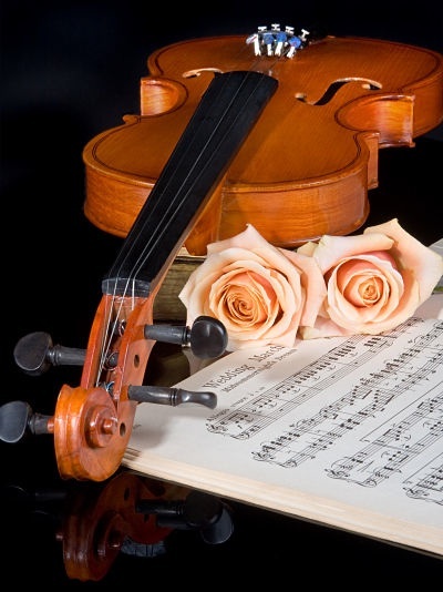 Celtic Wedding Songs on Reception Music Ceremony Music Ireland S Free Wedding Directory